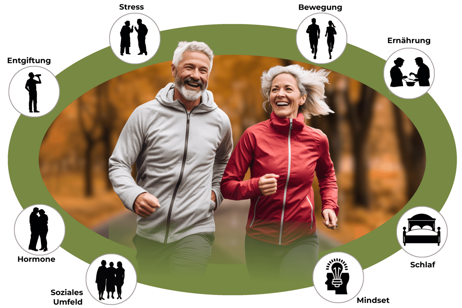 Longevity-Rad: Stress, Bewegung, Ernährung, Schlaf, Soziales, Hormone, Entgiftung und mentale Klarheit